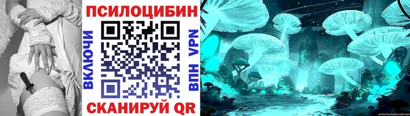 Галлюциногенные грибы Psilocybe  Озёры 